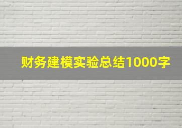 财务建模实验总结1000字