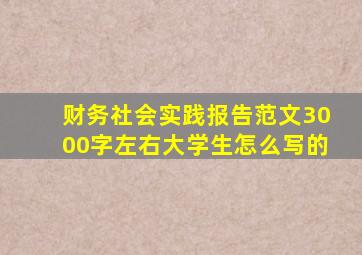 财务社会实践报告范文3000字左右大学生怎么写的