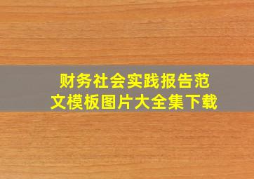 财务社会实践报告范文模板图片大全集下载