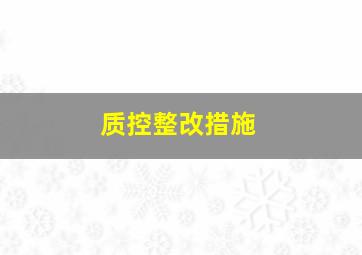 质控整改措施