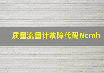 质量流量计故障代码Ncmh