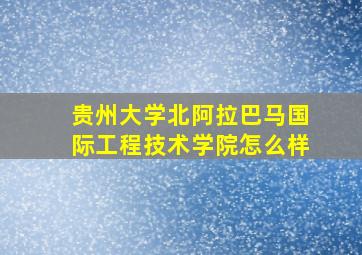 贵州大学北阿拉巴马国际工程技术学院怎么样