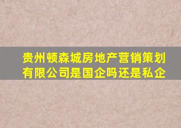 贵州顿森城房地产营销策划有限公司是国企吗还是私企