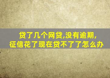 贷了几个网贷,没有逾期,征信花了现在贷不了了怎么办