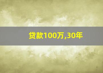 贷款100万,30年