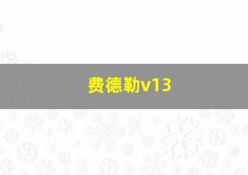 费德勒v13