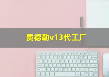 费德勒v13代工厂