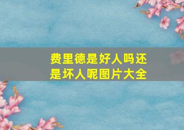 费里德是好人吗还是坏人呢图片大全