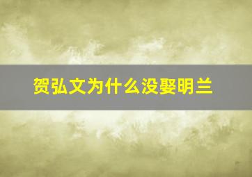 贺弘文为什么没娶明兰