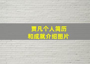 贾凡个人简历和成就介绍图片