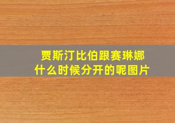 贾斯汀比伯跟赛琳娜什么时候分开的呢图片