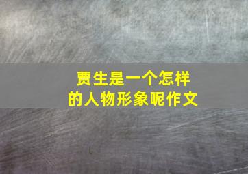 贾生是一个怎样的人物形象呢作文