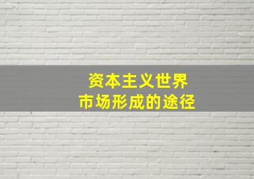 资本主义世界市场形成的途径