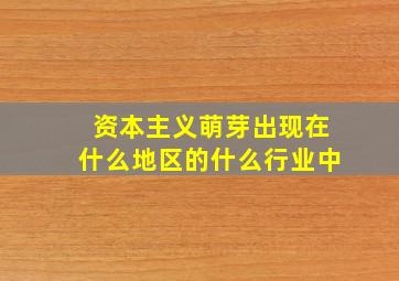 资本主义萌芽出现在什么地区的什么行业中