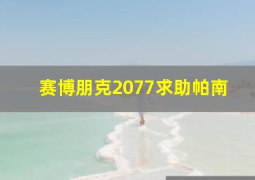 赛博朋克2077求助帕南