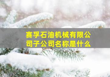 赛孚石油机械有限公司子公司名称是什么