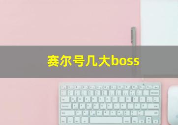 赛尔号几大boss