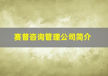 赛普咨询管理公司简介