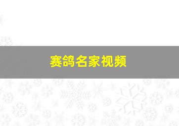 赛鸽名家视频