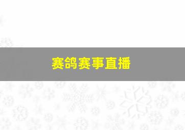 赛鸽赛事直播