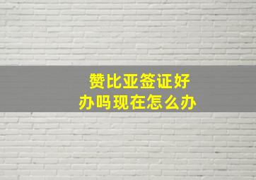 赞比亚签证好办吗现在怎么办