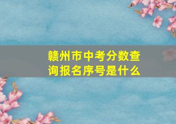 赣州市中考分数查询报名序号是什么