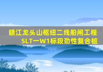 赣江龙头山枢纽二线船闸工程SLT一W1标段劲性复合桩