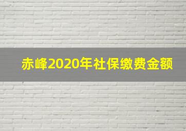 赤峰2020年社保缴费金额