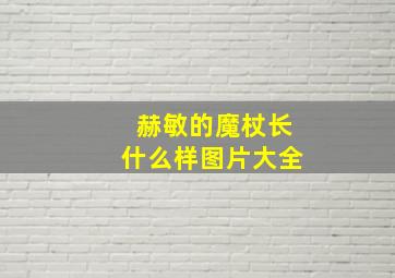 赫敏的魔杖长什么样图片大全