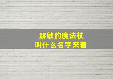 赫敏的魔法杖叫什么名字来着