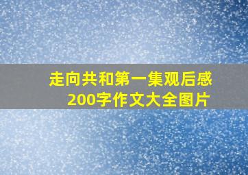 走向共和第一集观后感200字作文大全图片