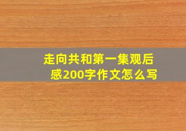 走向共和第一集观后感200字作文怎么写