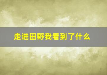 走进田野我看到了什么