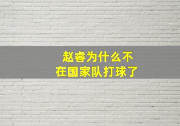 赵睿为什么不在国家队打球了