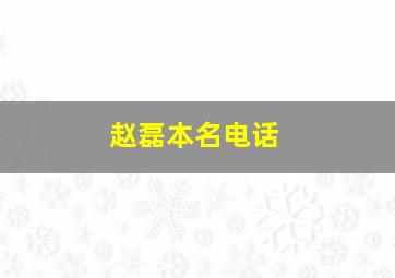 赵磊本名电话