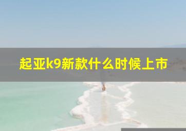 起亚k9新款什么时候上市