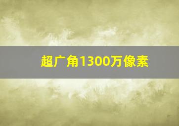 超广角1300万像素