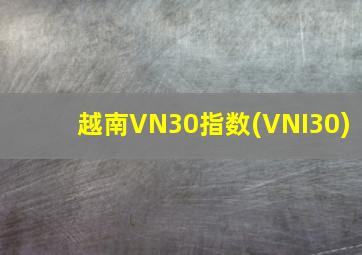 越南VN30指数(VNI30)