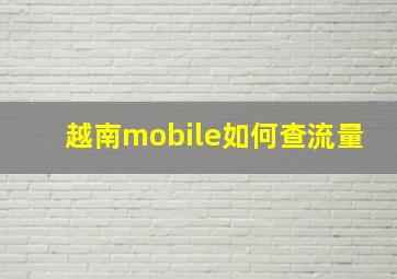 越南mobile如何查流量