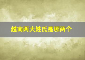 越南两大姓氏是哪两个