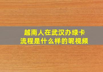 越南人在武汉办绿卡流程是什么样的呢视频