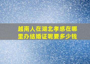 越南人在湖北孝感在哪里办结婚证呢要多少钱