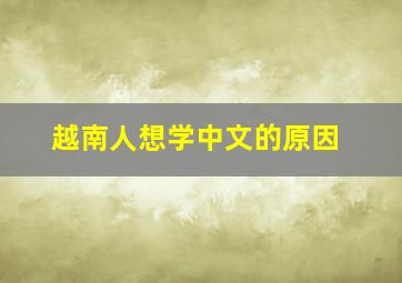 越南人想学中文的原因