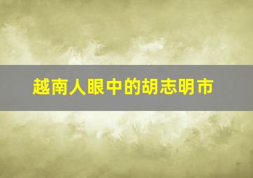 越南人眼中的胡志明市