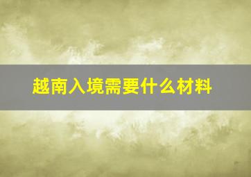 越南入境需要什么材料