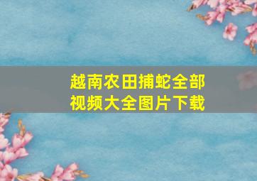 越南农田捕蛇全部视频大全图片下载