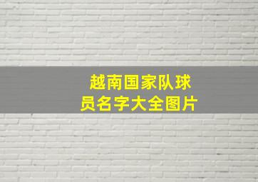 越南国家队球员名字大全图片