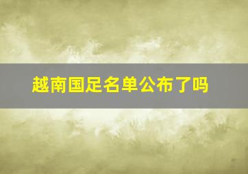 越南国足名单公布了吗