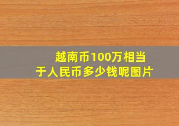 越南币100万相当于人民币多少钱呢图片