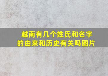 越南有几个姓氏和名字的由来和历史有关吗图片